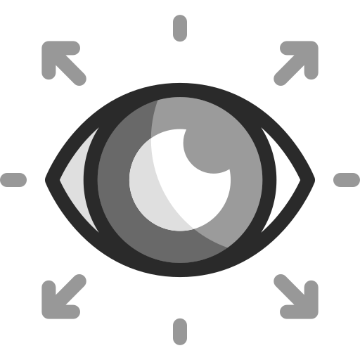 Visión